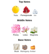 Pink Shine - Impression of Versace Bright Crystal